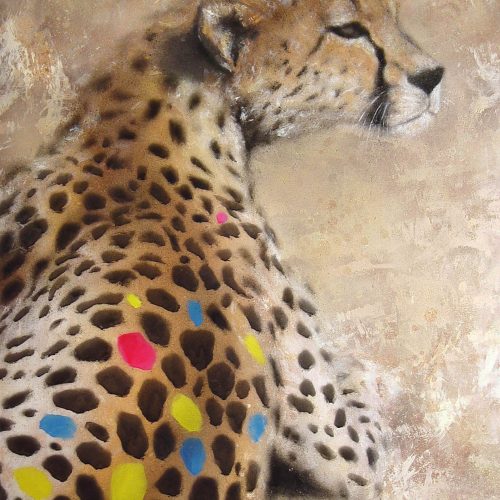 SATH Cheetah